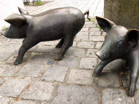 Spurensuche-Schwandorf-Fotoalbum