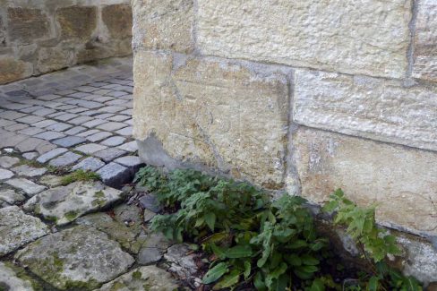 Spurensuche-Regensburg-Fotoalbum