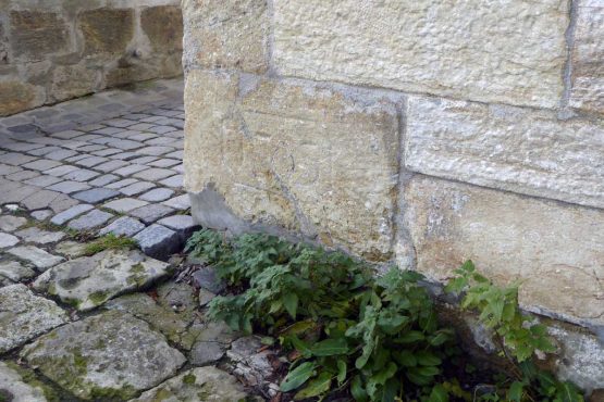 Spurensuche-Regensburg-Fotoalbum