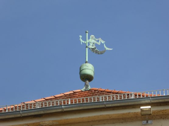 Spurensuche-Kelheim-Fotoalbum