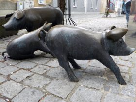 Spurensuche-Schwandorf-Fotoalbum